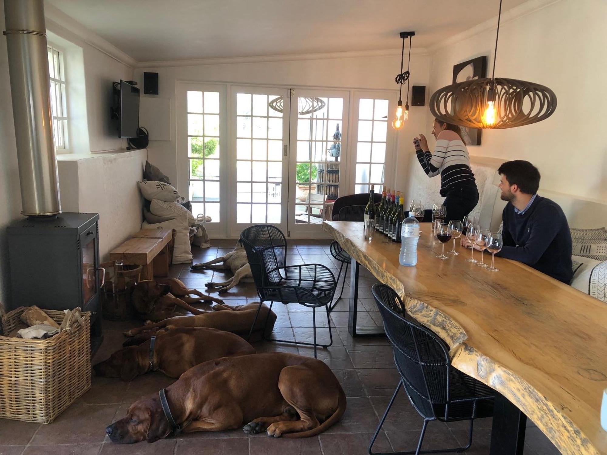 Tempel Wines Hotel Paarl Kültér fotó