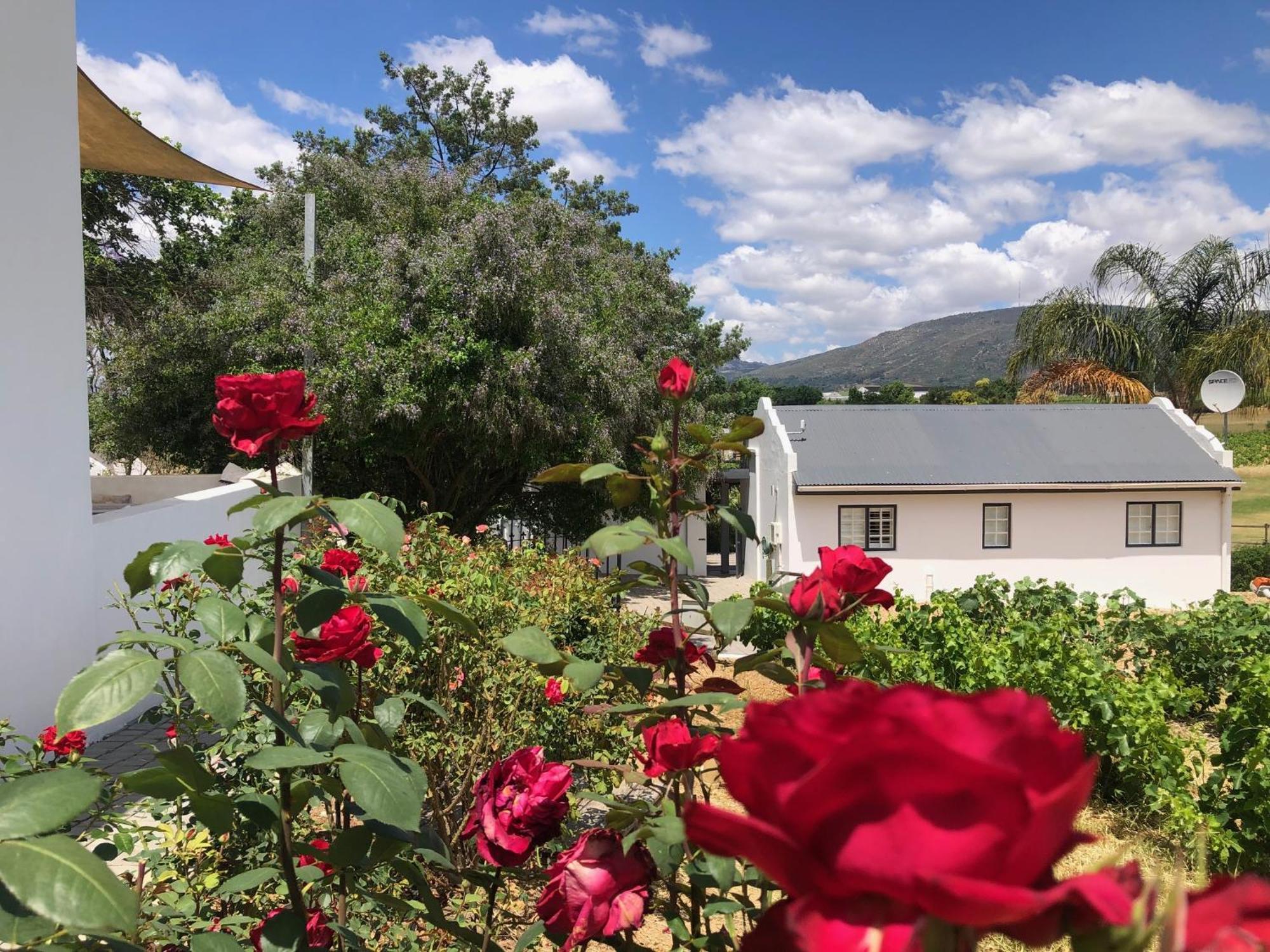 Tempel Wines Hotel Paarl Kültér fotó