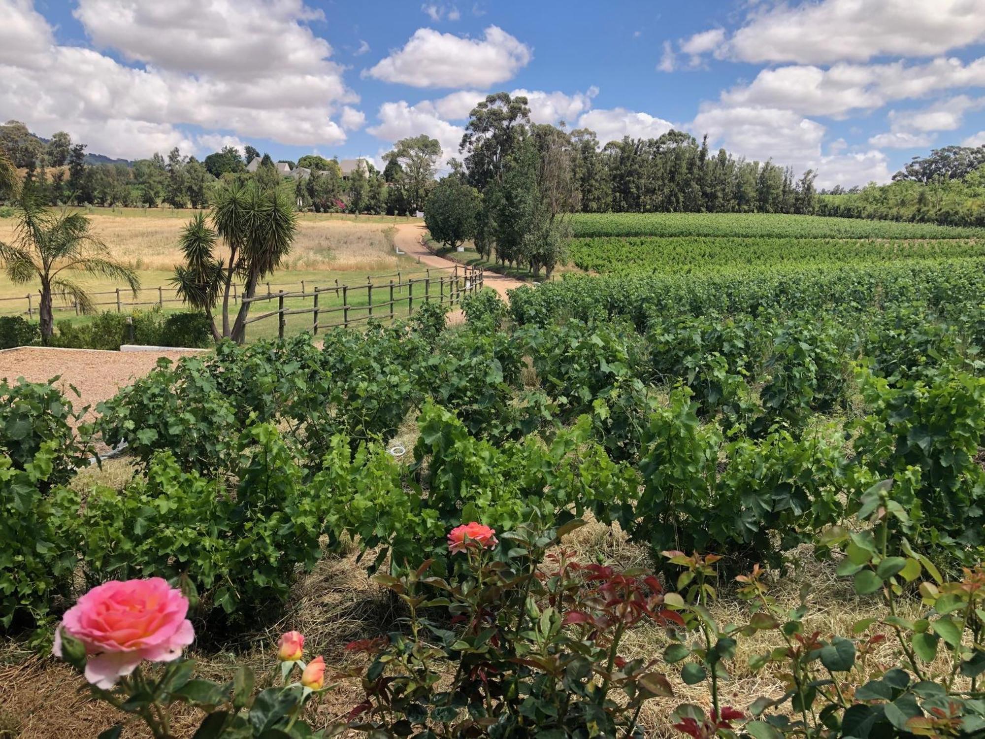 Tempel Wines Hotel Paarl Kültér fotó