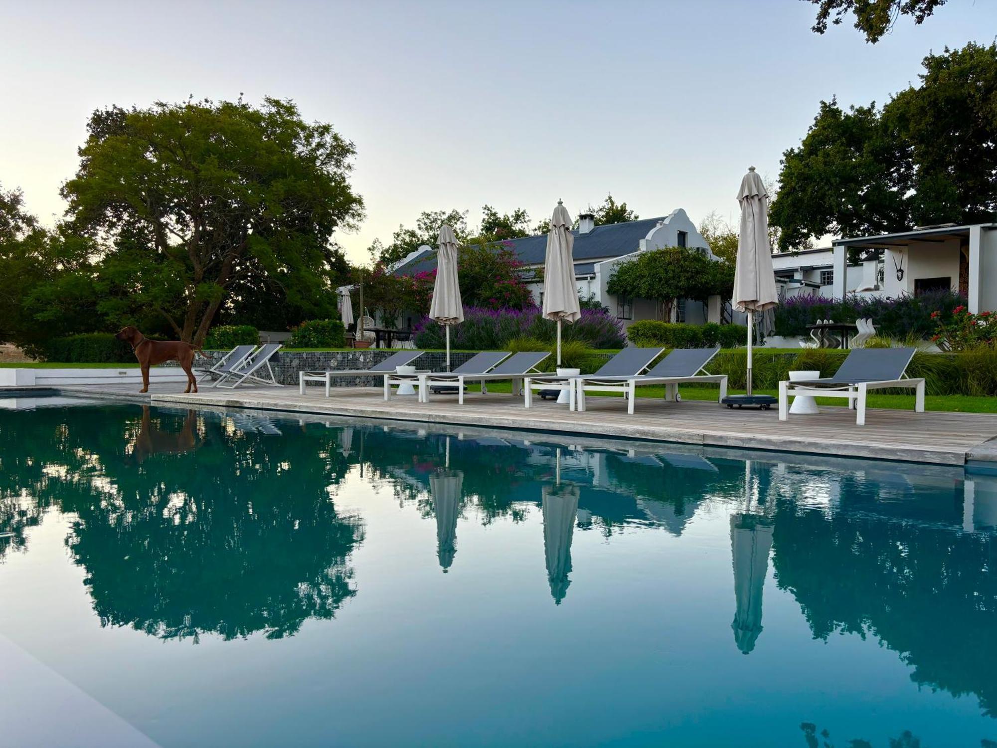 Tempel Wines Hotel Paarl Kültér fotó