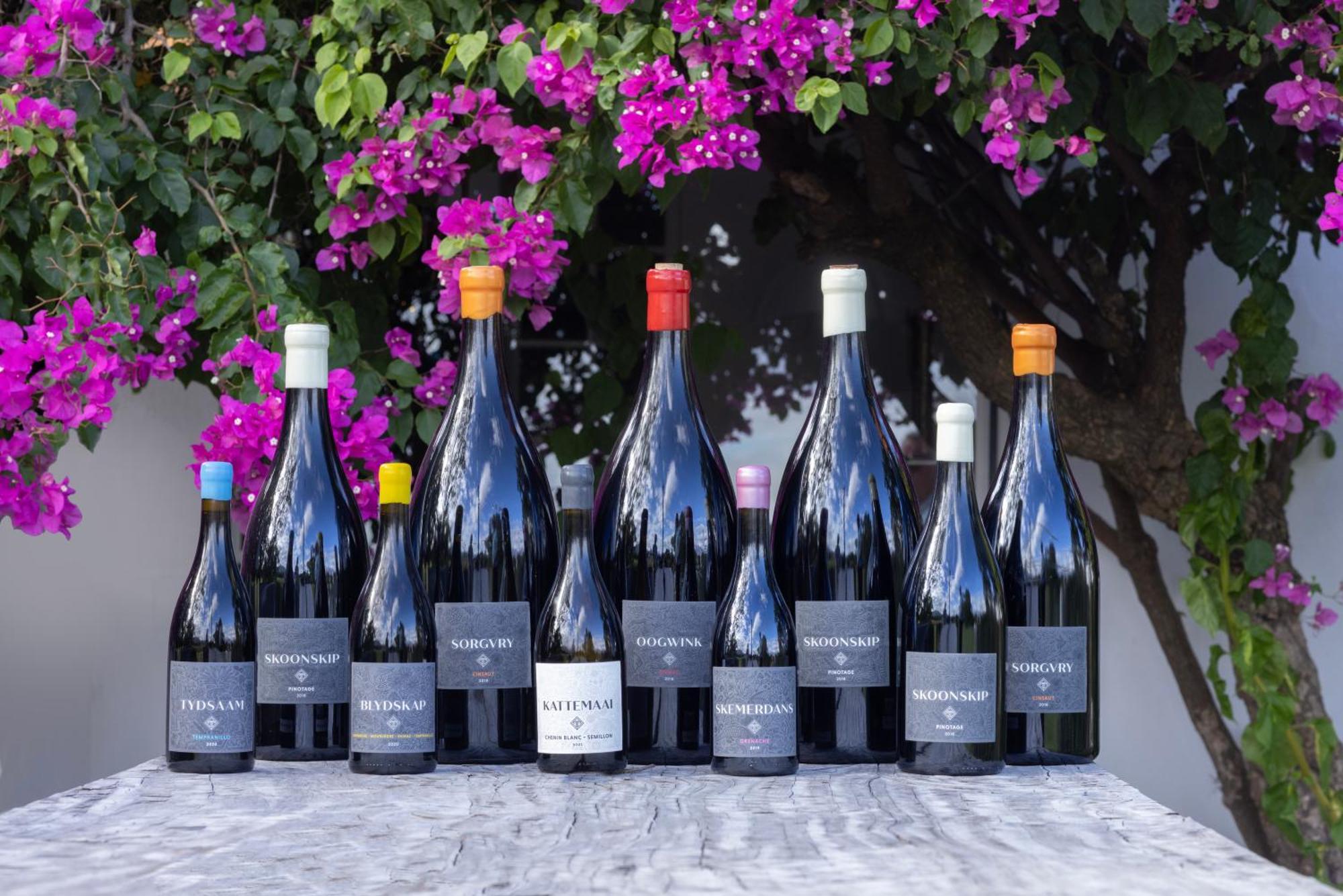 Tempel Wines Hotel Paarl Kültér fotó