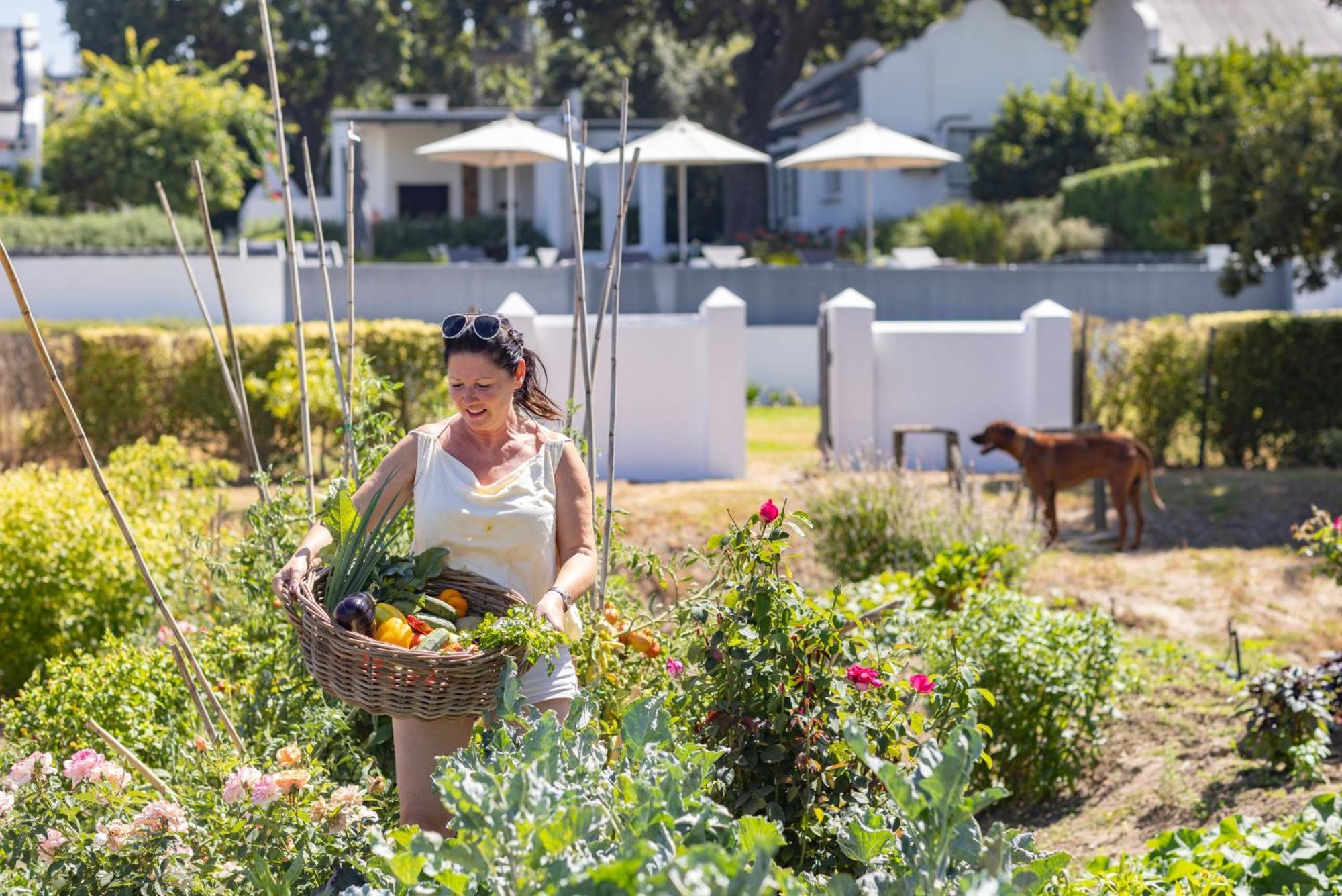 Tempel Wines Hotel Paarl Kültér fotó