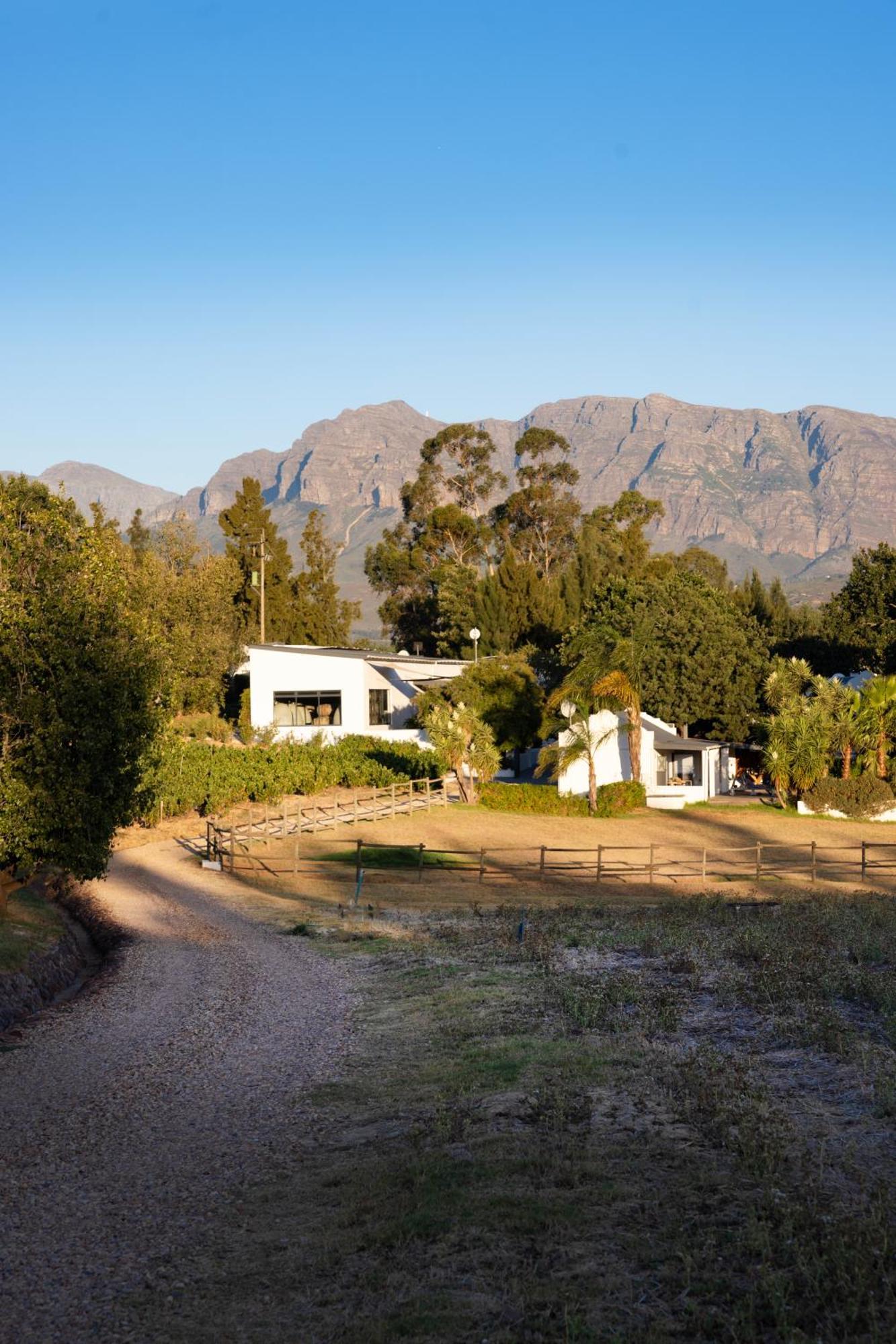 Tempel Wines Hotel Paarl Kültér fotó